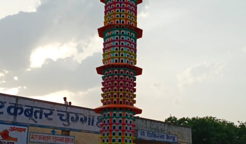 apartment for birds built in Jaipur