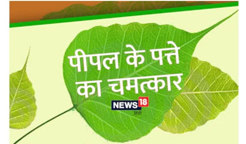 Remedy of peepal leaves to overcome financial crisis