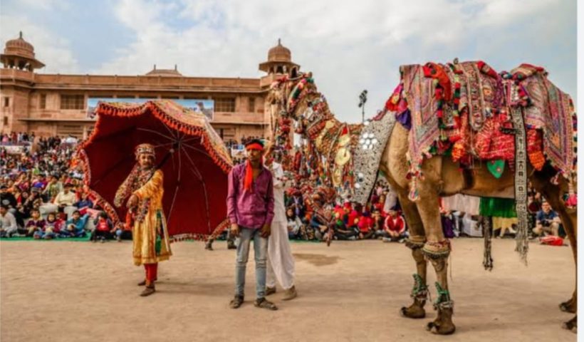 International Camel Festival