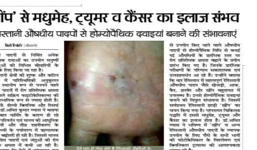 A special shrub of Thar has brought new life to the rural economy.