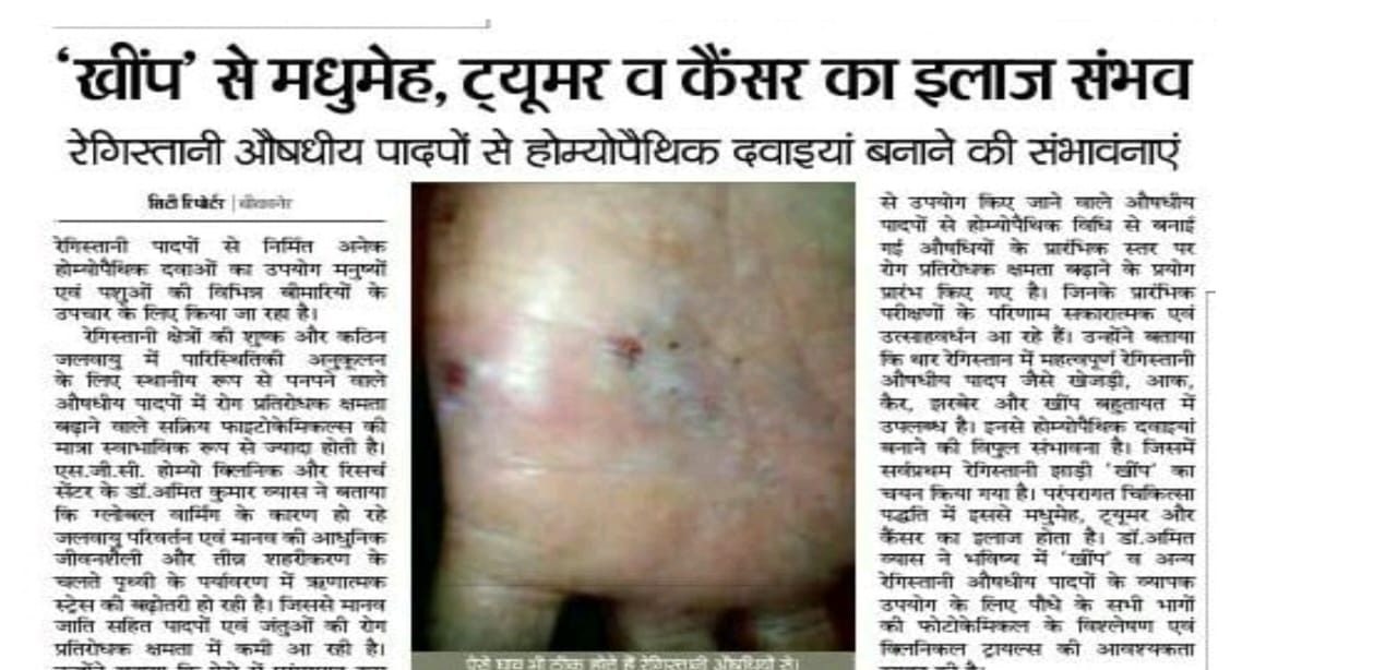 A special shrub of Thar has brought new life to the rural economy.