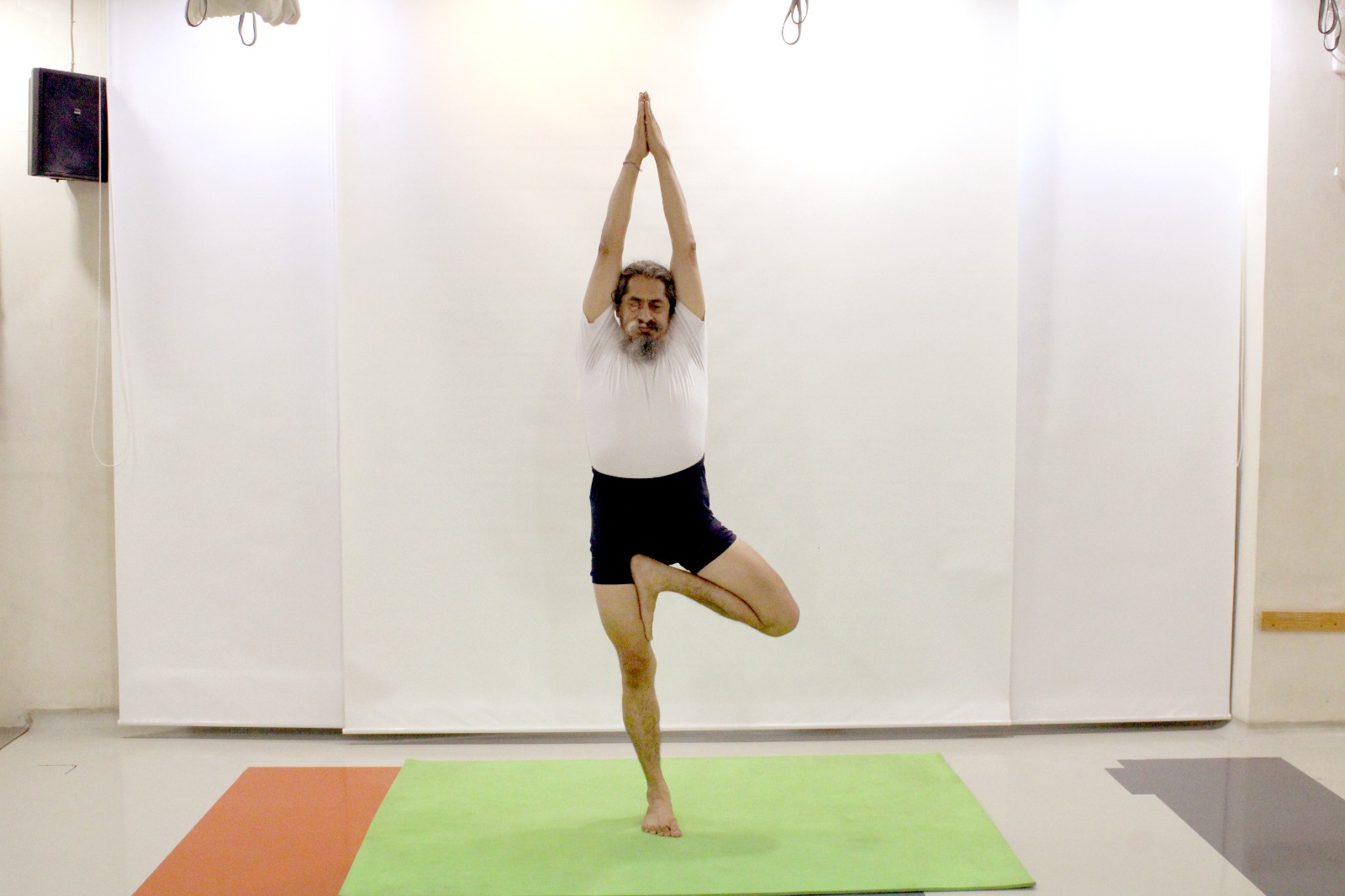 Vrikshasana: An Effective Yoga Asana Yogacharya Dhakaram
